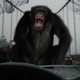 Illustration for article titled New footage and concept art from The Rise of the Planet of the Apes